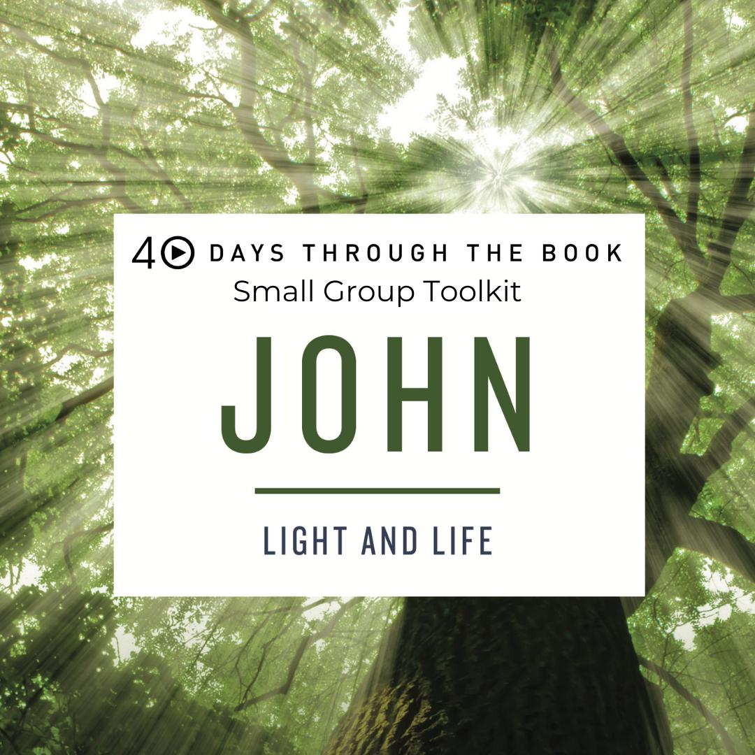 John by Kyle Idleman