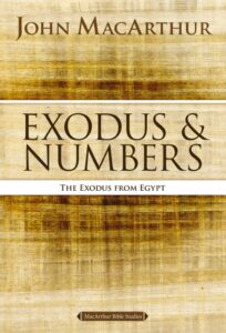 Exodus & Numbers: The Exodus from Egypt